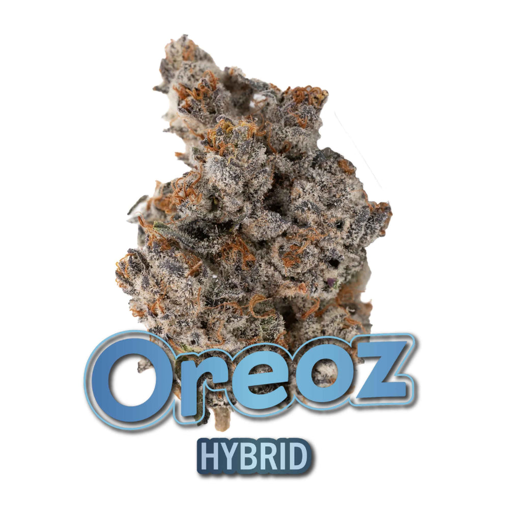 
                  
                    3.5G Premium THC-A Flower - Oreoz - Hybrid
                  
                